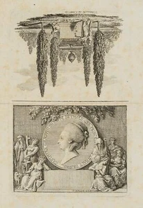 D. CHODOWIECKI (*1726), Porträt der Fürstin Casimira von Lippe-Detmold, 1780, R - Picture 1 of 4