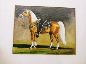 1948 Arte Semental Palomino Show Caballo Acuarela Izquierda Pintura Jeanne Mellin - Imagen 1 de 11