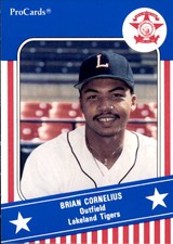 1991 Florida State League All-Stars ProCards #FSL20 Brian Cornelius Homestead FL