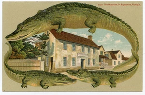 El Museo Alligator Border Florida 550 San Agustín - Imagen 1 de 2