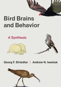 Bird Brains and Behavior, Georg F. Striedter - Picture 1 of 1