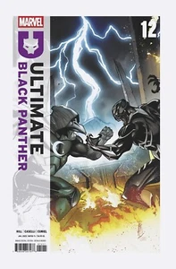 Ultimate Black Panther #12 (2025) (New) Choice of Covers - Picture 1 of 4