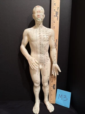 Muñeco de acupuntura modelo masculino 19" acupuntura humana medicina china maniquí de aprendizaje Foto 1 de 4