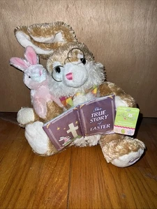 Dan Dee Animado Ilumina la Verdadera Historia de Pascua Cristiano Hablando Peluche Conejito - Imagen 1 de 6