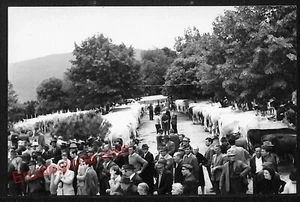 ae7920 - CARTOLINA D'EPOCA - Firenze Provincia - Pieve a Presciano - Picture 1 of 1