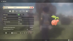 Shiny Alpha Kikugi 6IV / 6GV | Pokemon Legenden Arceus - Bild 1 von 2