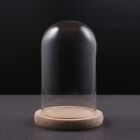  10 X16cm LED Base for Acrylic Glass Bell Jar Display Dome Mini
