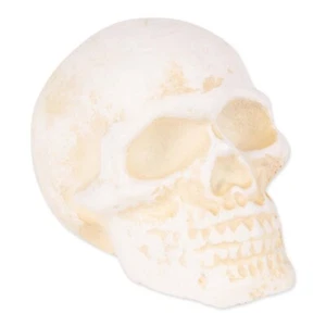 HOME HALLOWEEN DECOR HUMAN SKULL PAPERWEIGHT CAST IRON - Picture 1 of 6