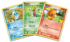 First Partner Hoenn Mudkip Torchic Treecko OVP Pokemon XXL Karten Celebration - Bild 1 von 1