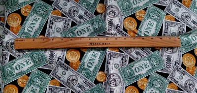 Money Money Money -- billetes de dólar y monedas de tela de algodón BTHY RARO Foto 1 de 2