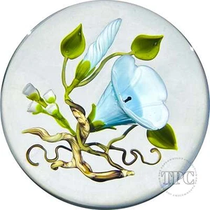 Victor Trabucco 1993 Glass Art Paperweight Flamework Blue Morning Glory Blossom - Picture 1 of 5