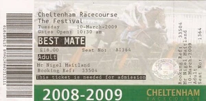 Ticket - Cheltenham National Hunt Festival 10.03.2009 - Picture 1 of 1