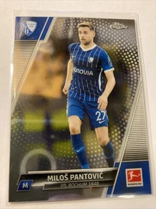 Milos Panrovic - Picture 1 of 2