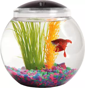 1-Gallon Globe Fish Tank with LED Lighting 7 Color Selections Impact-Resistant - Picture 1 of 1