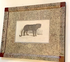 Impresión antigua del siglo XIX - La pantera: Whittaker coloreada a mano - Enmarcada - Imagen 1 de 8