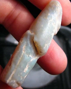 O&co Fossile pipe belemnite Coober Pedy australie collection cadeau noël 52ct - Imagen 1 de 5