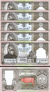 Nepal 25 rupie 1997, UNC, LOTTO 5 pezzi, commemorativi, P-41, insegna 13 - Foto 1 di 4