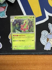 Meganium 010/132 Me01: Mega Evolution Holo - Bild 1 von 1