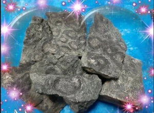 Diaspro COCCODRILLO o KAMBABA Chakra cristallo Pagan Strega Viking no Nebula Zen - Imagen 1 de 1