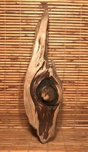 Beautiful 16" Driftwood Piece Terrarium Reptile Taxidermy Aquarium Beach Decor - Picture 1 of 12
