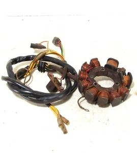 1996 Polaris Sportsman 500 Stator Ignition Coil P136 - Bild 1 von 6