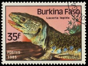 BURKINA FASO 698 (Mi1007) - Ocellated Lizard "Lacerta lepida" (pa16337)