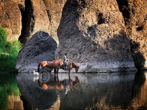 IMPRESIÓN ARTÍSTICA OCCIDENTAL - Oasis (color) por Barry Hart caballo perro paisaje póster 13x19 - Imagen 1 de 1