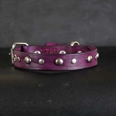 Кожаный ошейник для собаки с заклепками. Ширина 1 дюйм. Акцент люверсов. Глубокий фиолетовый - Изображение 1 из 4