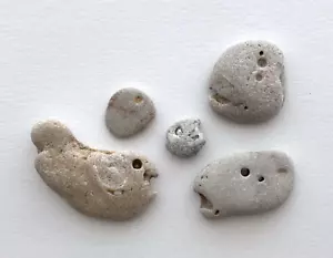 5 Natural Fish head-Shaped Beach Rocks pebble art fishing craft Hag Stone USA - Picture 1 of 12