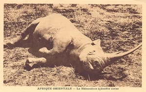 British East Africa - The doubou-horn rhinoceros - Publ. Mahmood's Radio Service - Picture 1 of 2