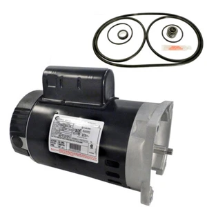 Puri Tech Repl Motor Kit for Pentair Challenger 1HP CFII-N1-1A  B2853 w/GO-KIT-5 - Picture 1 of 1