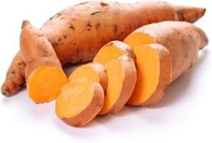 Beauregard Sweet Potato Slips - Picture 1 of 2