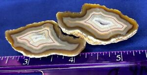 Coyamito Mexican Malawi African Type Agates Pair Semi Polished Geode Nodule SW