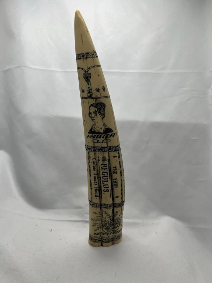 Réplica de resina de colmillo de morsa Scrimshaw The Ship Regulus Captain James Hoad Foto 1 de 4