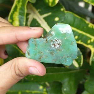 24Gr Natural Rough Green CHRYSOPRASE Mineral Specimen Rough - Picture 1 of 6