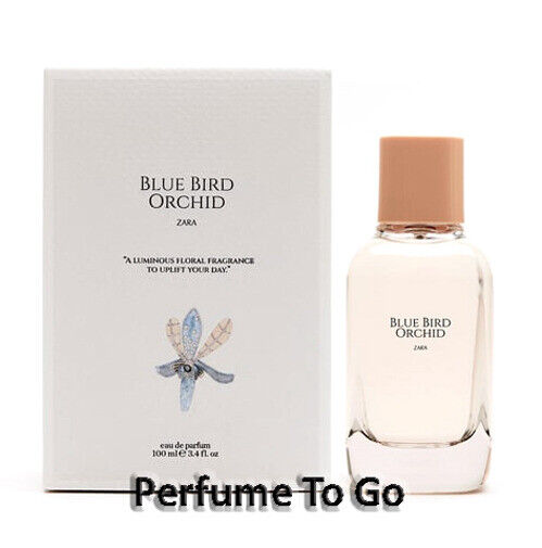  Zara MAN BLUE SPIRIT EDT 12 ML (0.41 FL. OZ) : Beauty &  Personal Care