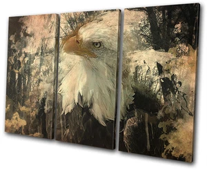 Adler rustikal Vintage Tiere VOLL LEINWAND WANDBILD Bild Druck - Bild 1 von 1