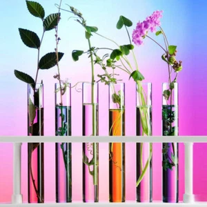 Glass Test Tubes With Cork Stopper Candy Party Wedding Party Favors 150*15 mm - Picture 1 of 15