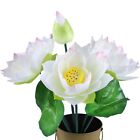 Embrace Natural Beauty With Premium Lotus Artificial Flower Stalks Buy Now!
