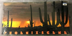 Phoenix Scene Vintage © 1980 Hanson Co Nuevo de Lote Antiguo 2-6 Jugadores Edades 9+ Difícil de Encontrar Stock #1900 - Imagen 1 de 9