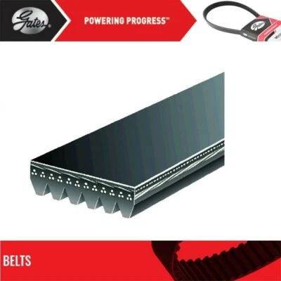 Puertas de cinturón Serpentine para Chevrolet Monte Carlo 2006-2007 V8-5,3 L Foto 1 de 4