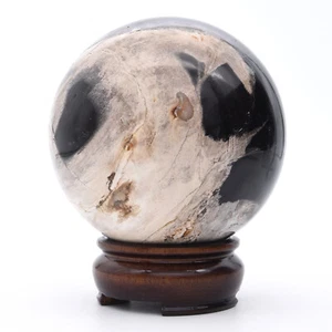 111mm Petrified Fossil Wood Stone Sphere Inc Stand Natural Gemstone Mineral AAA - Picture 1 of 4
