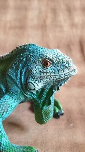 Grüner Leguan, Waran, Echse, Eidechse, Deko Figur 24cm "Toller Hingucker" - Bild 1 von 7