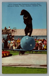 Postal Black Bear Performing Trick Ringling Bros Barnum & Bailey Sarasota FL - Imagen 1 de 2