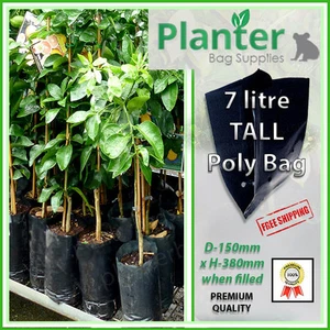 7 litre tall Premium Planter Bags - varying quantities. Poly Plant bag, Grow bag - Picture 1 of 3
