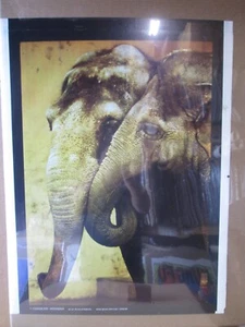 ELEPHANTS EMBRACE LOVE 1970'S VINTAGE POSTER CNG3392 - Picture 1 of 5