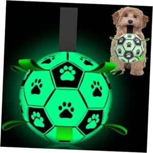 Light Up Dog Ball, Interactive Glow in The Dark Dog Medium Glow in the dark I - Picture 1 of 7