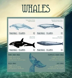 WHALES Sea & Marine Life MNH 4v-Stamp Sheet (2018 Marshall Islands) - Picture 1 of 1
