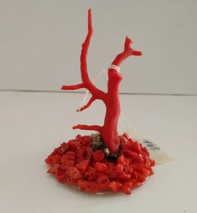 Natural Red Coral Branch mediterranean sea, 47 cts of genuine coral Specimen - Picture 1 of 12