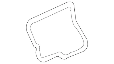 Genuine GM Driver Side Front Door Water Deflector 10263411 Foto 1 de 4